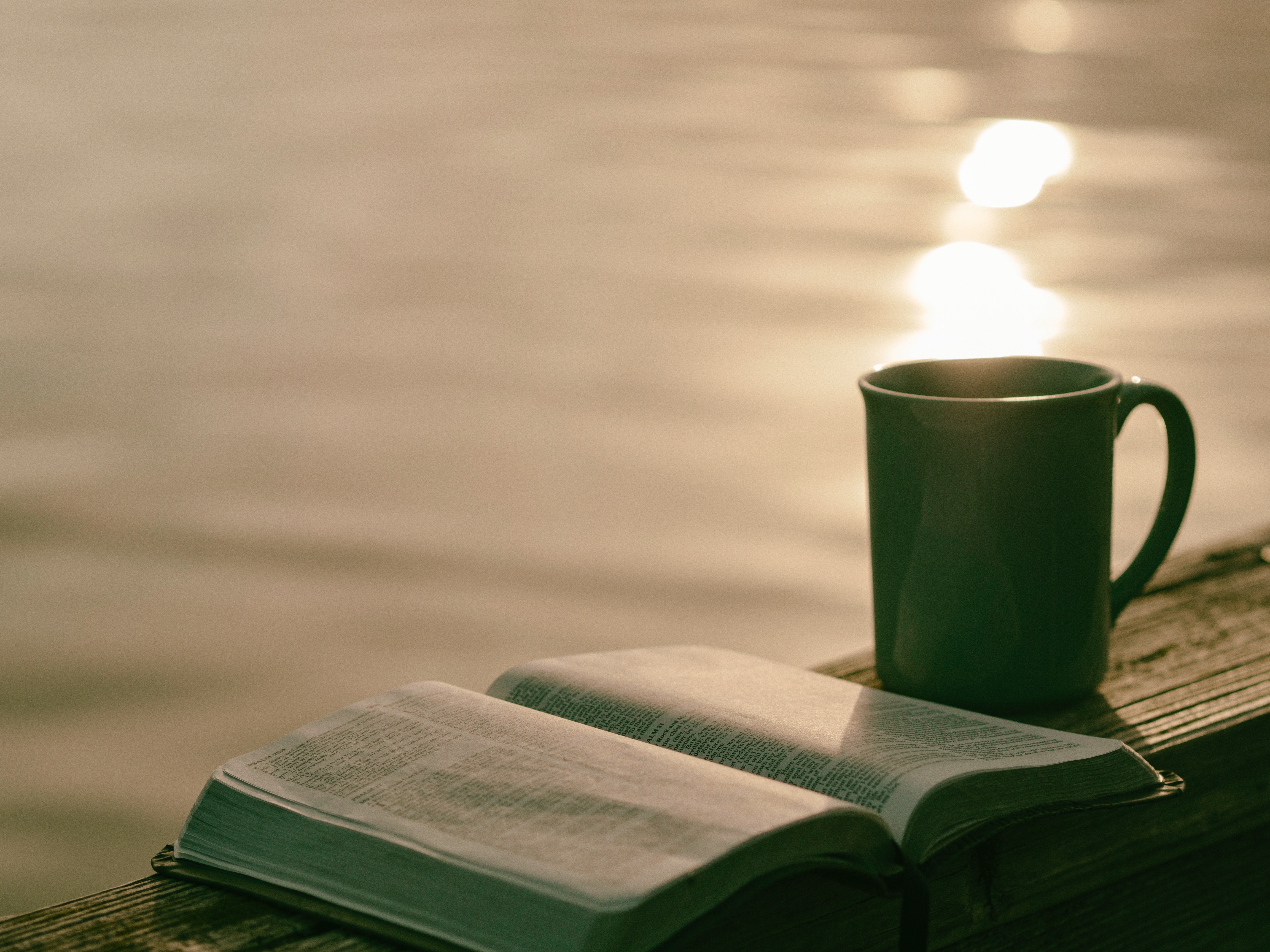 Shirley McGrath Author Reviews